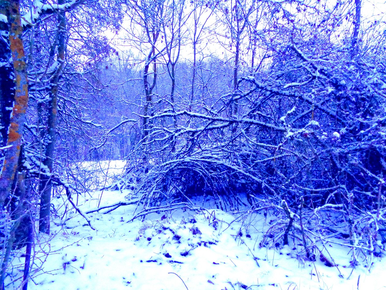Azul inverno de Martina Konitzky