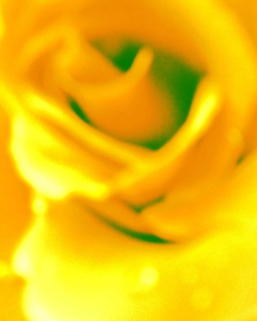 Amarelo de Martina Konitzky