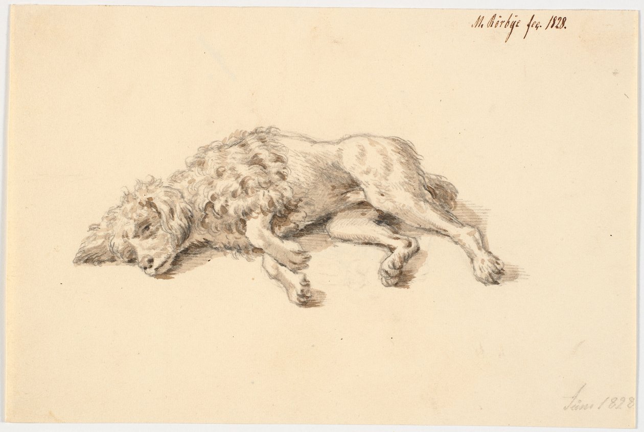 cachorro poodle deitado de Martinus Rørbye