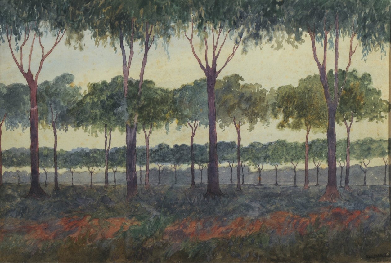 O bosque de Martín Malharro