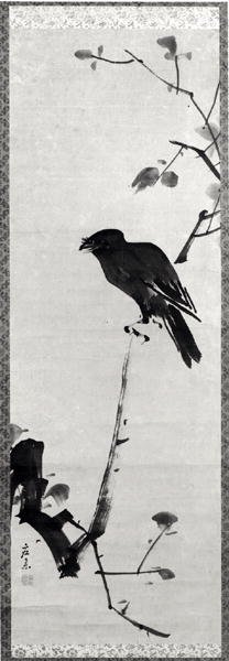 Corvo em um galho de MaruyamaKyo MaruyamaKyo