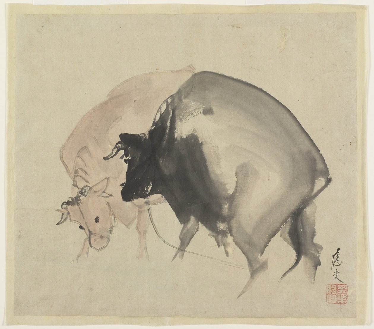 Dois touros, c.1810 (tinta e cores no papel) de Maruyama Oju