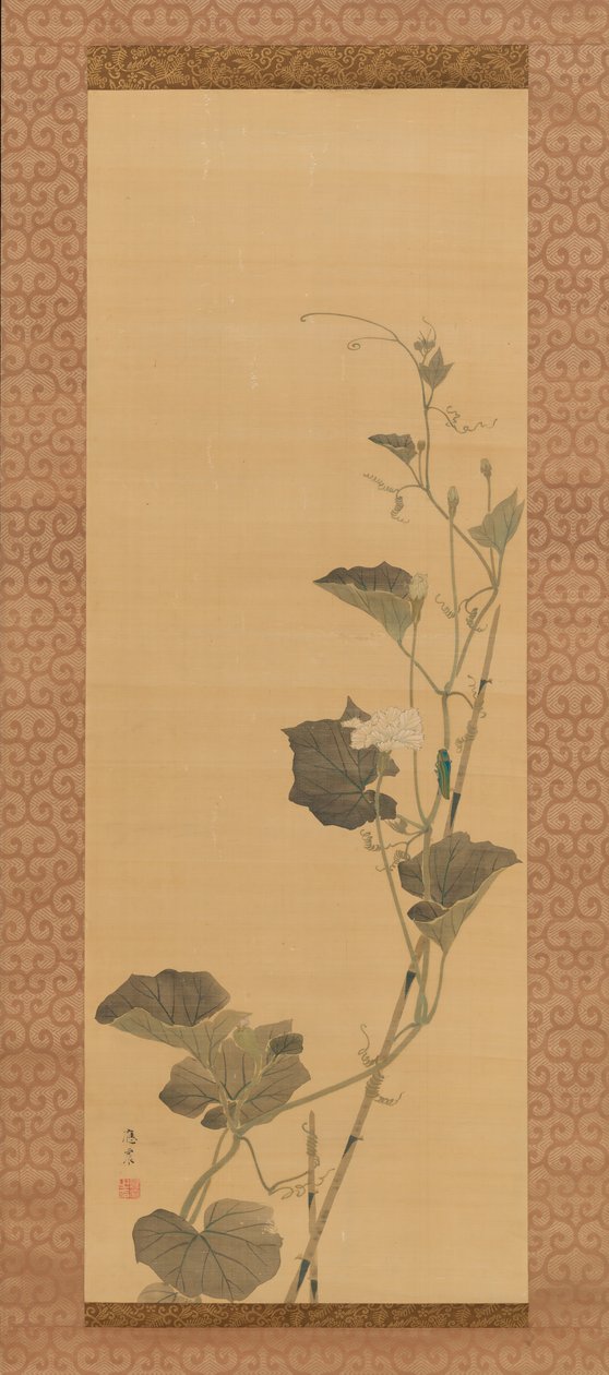 Calabash Flowers and Beetle, início do século XIX. de Maruyama Ôshin