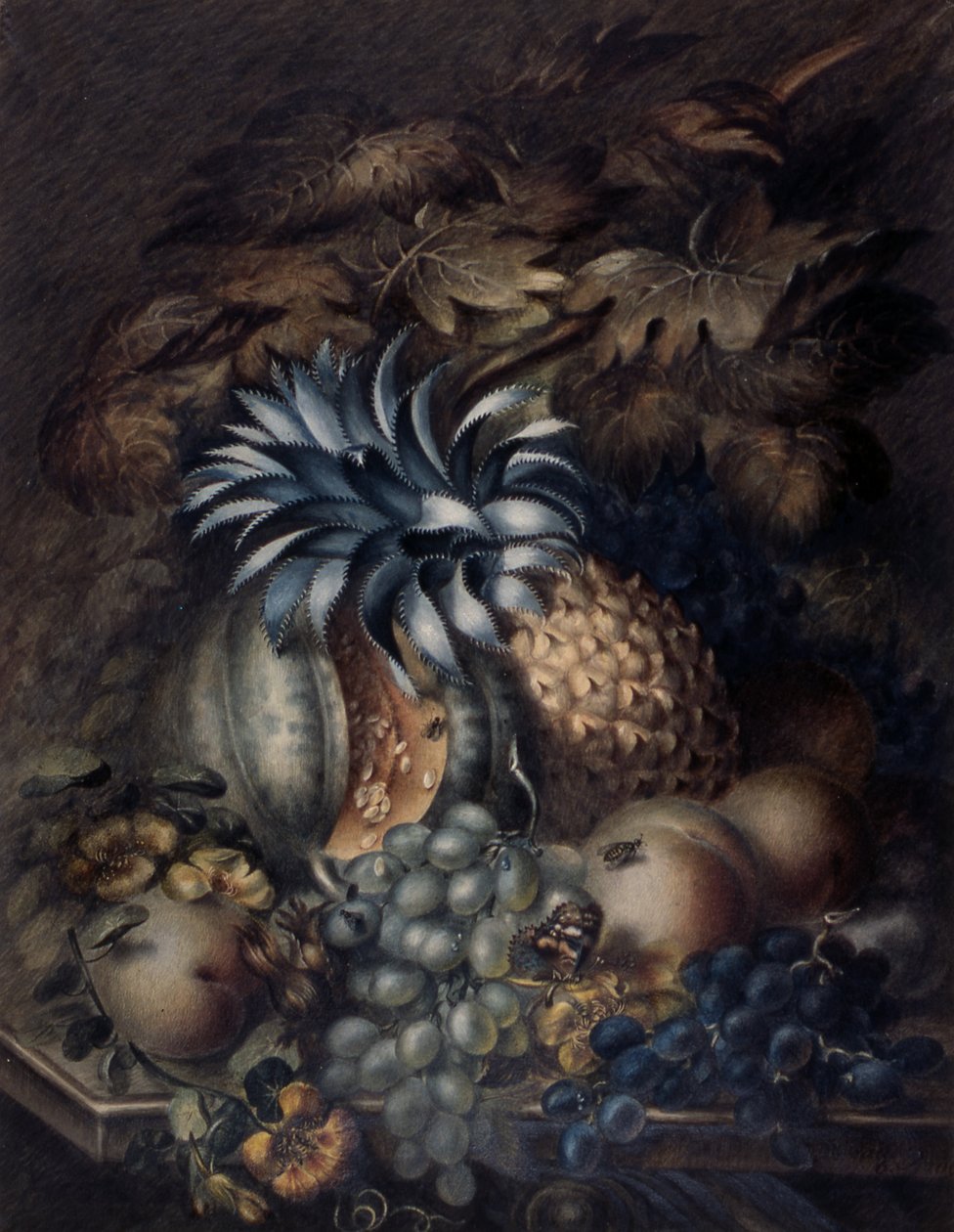 Estudo de Frutas (pastel) de Mary Bradley