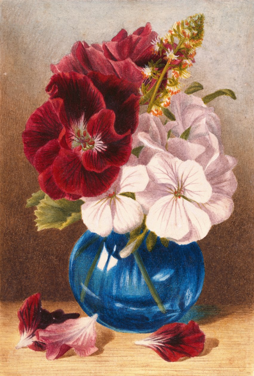 Imagem desconhecida de Mary Elizabeth Duffield