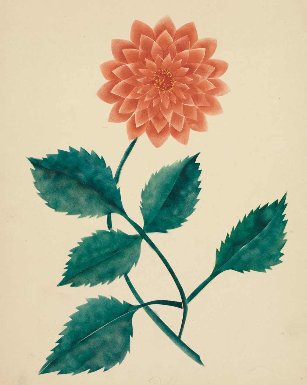 Dália. de Mary Altha Nims