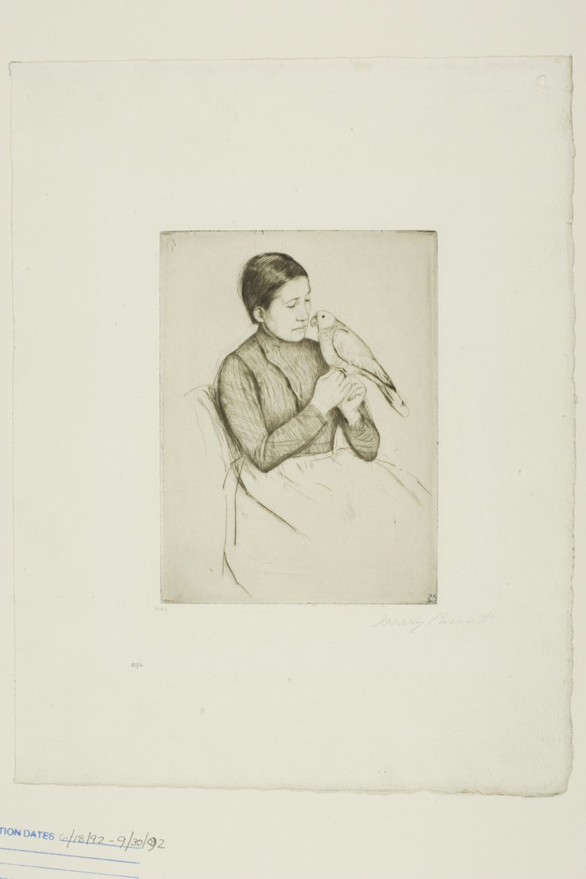O papagaio de Mary Cassatt