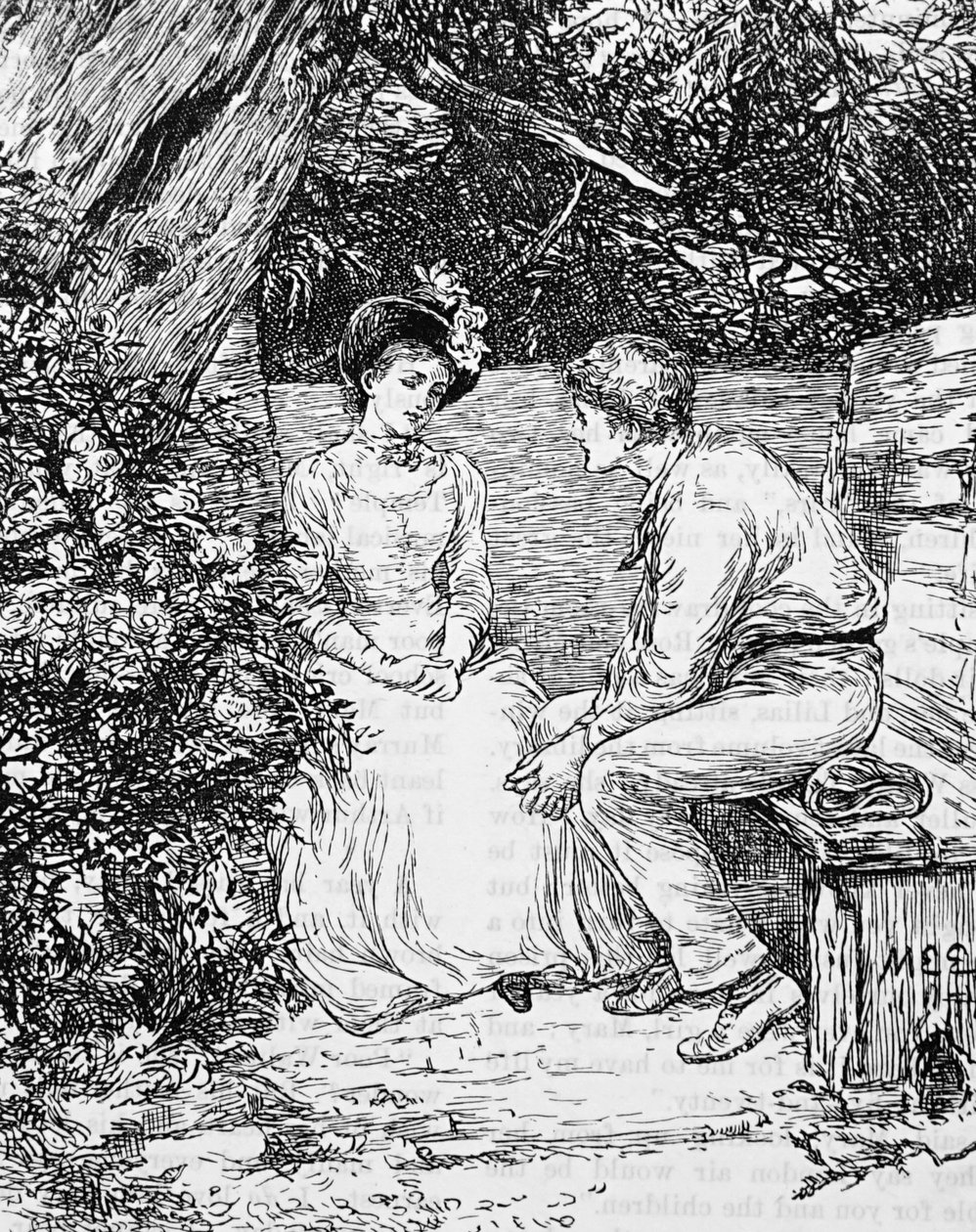 Um casal a cortejar de Mary Ellen Edwards