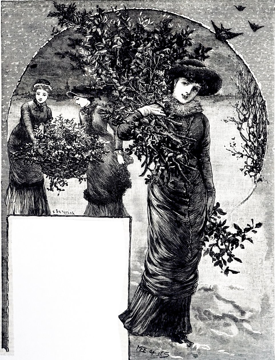 Uma gravura que representa a colecção de azevinho e sempre-verde para decoração de Natal. Ilustrada por Mary Ellen Edwards (1838-1934), artista e ilustradora inglesa de livros infantis. de Mary Ellen Edwards