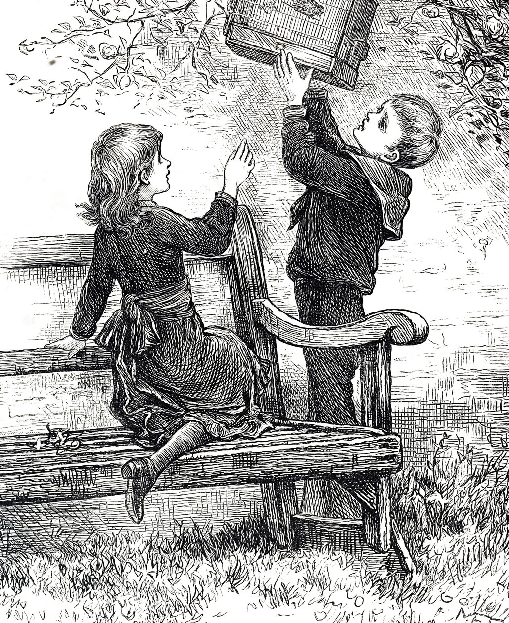 Gravura representando crianças com seu pardal de estimação em sua gaiola de Mary Ellen Edwards