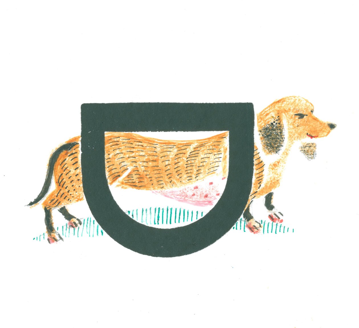 D é para o dachshund de Mary Kuper