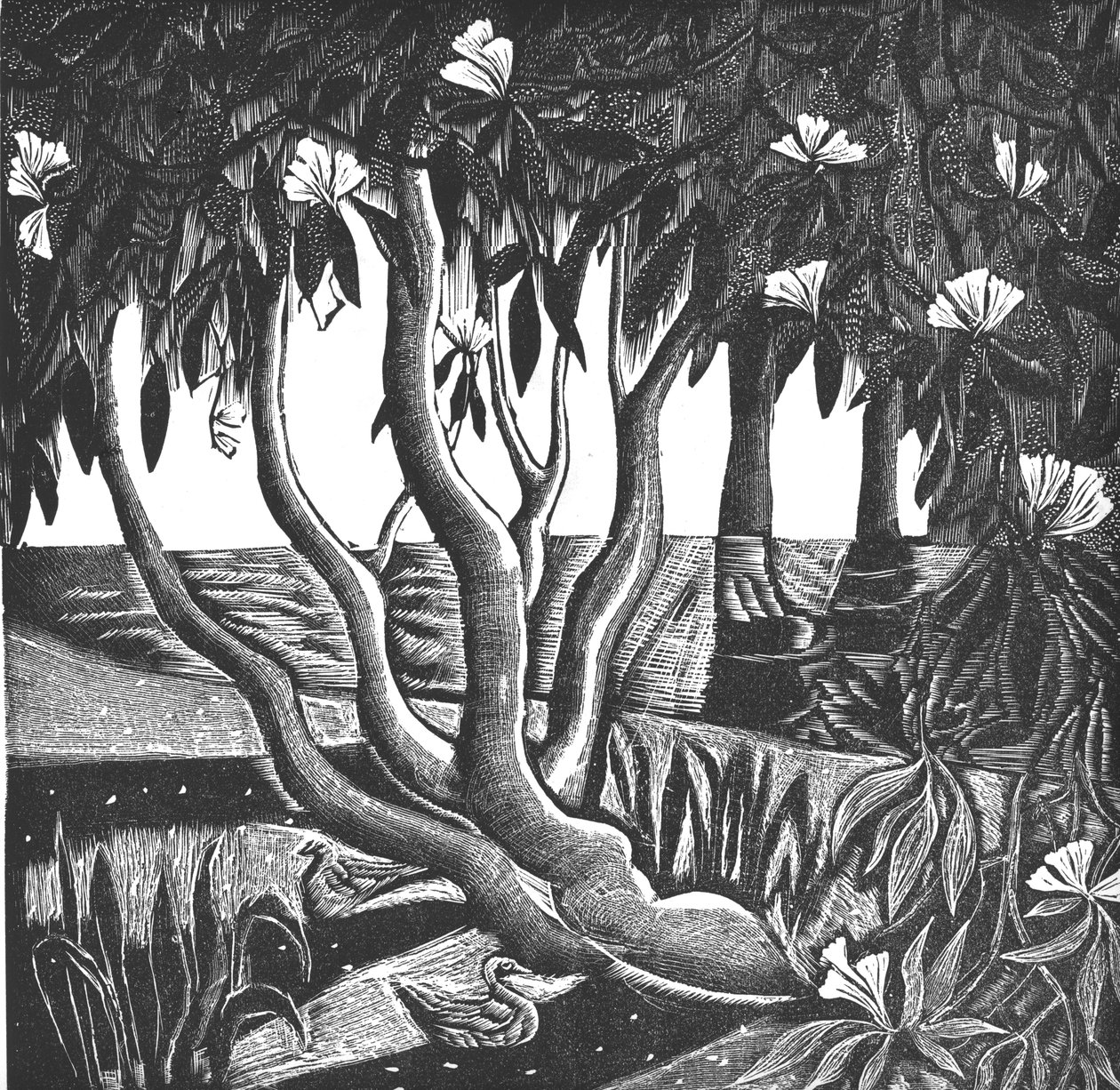 Rhododendrons, Holland Park, 2006 (gravura em vinil) de Mary Kuper