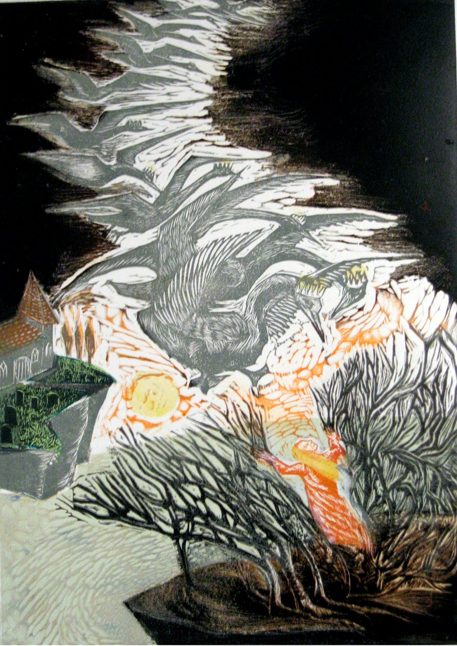 Os Cisnes Selvagens de Mary Kuper