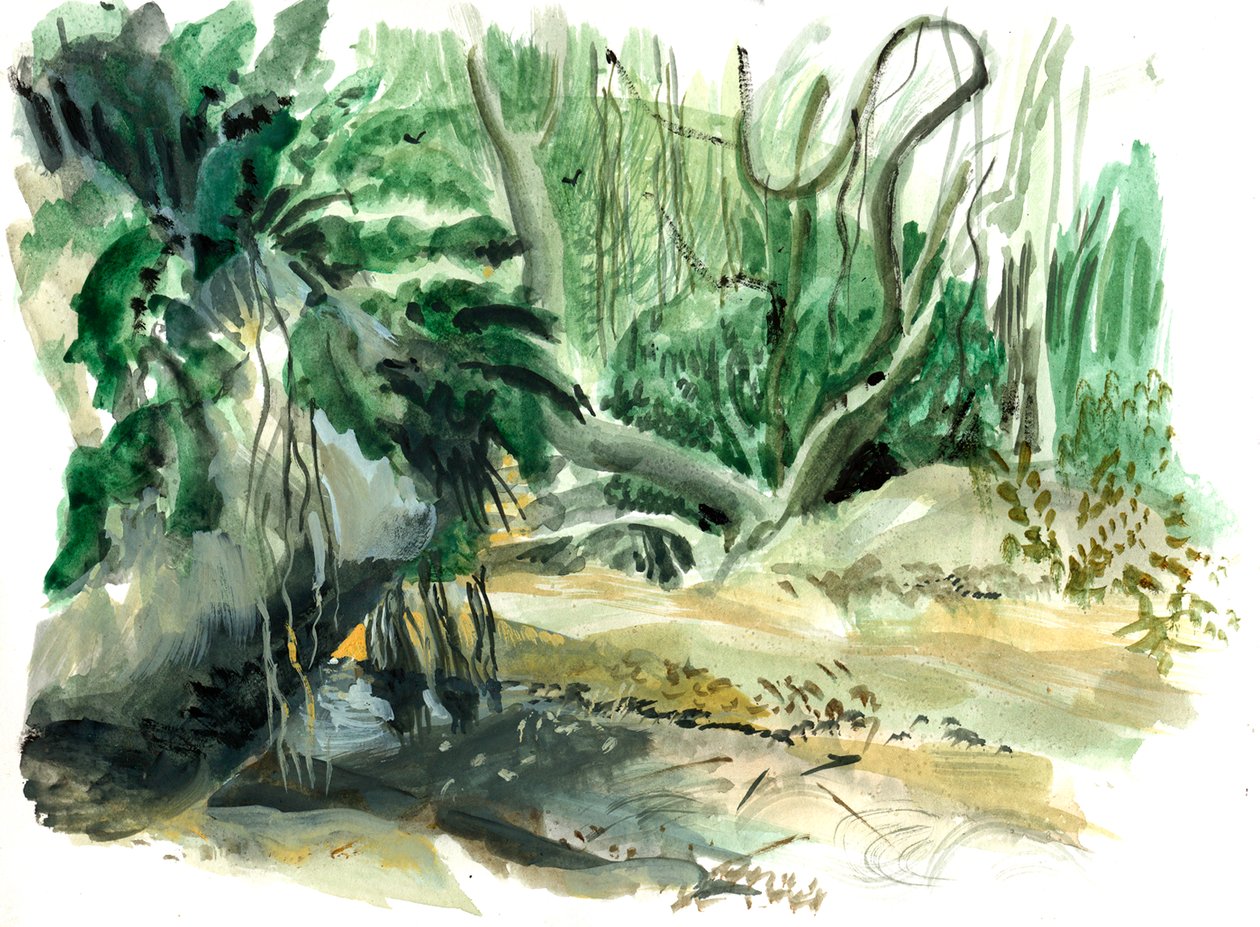 Tyrona, selva, 2008 (aguarela) de Mary Kuper