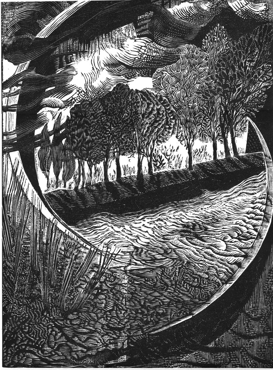 "...o nosso tipo peculiar de existência aqui... David Jones... de Mary Kuper