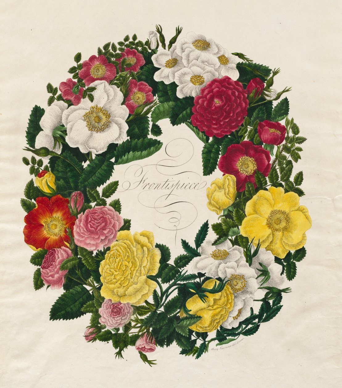 Uma coroa de rosas de Mary Lawrence