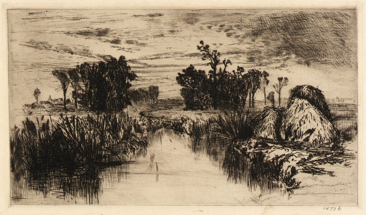 Taboas e árvores de Mary Nimmo Moran