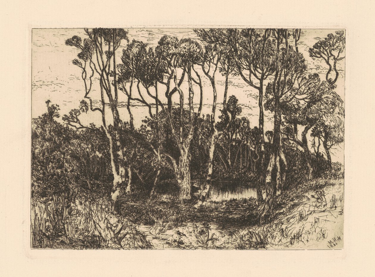 Solidão de Mary Nimmo Moran