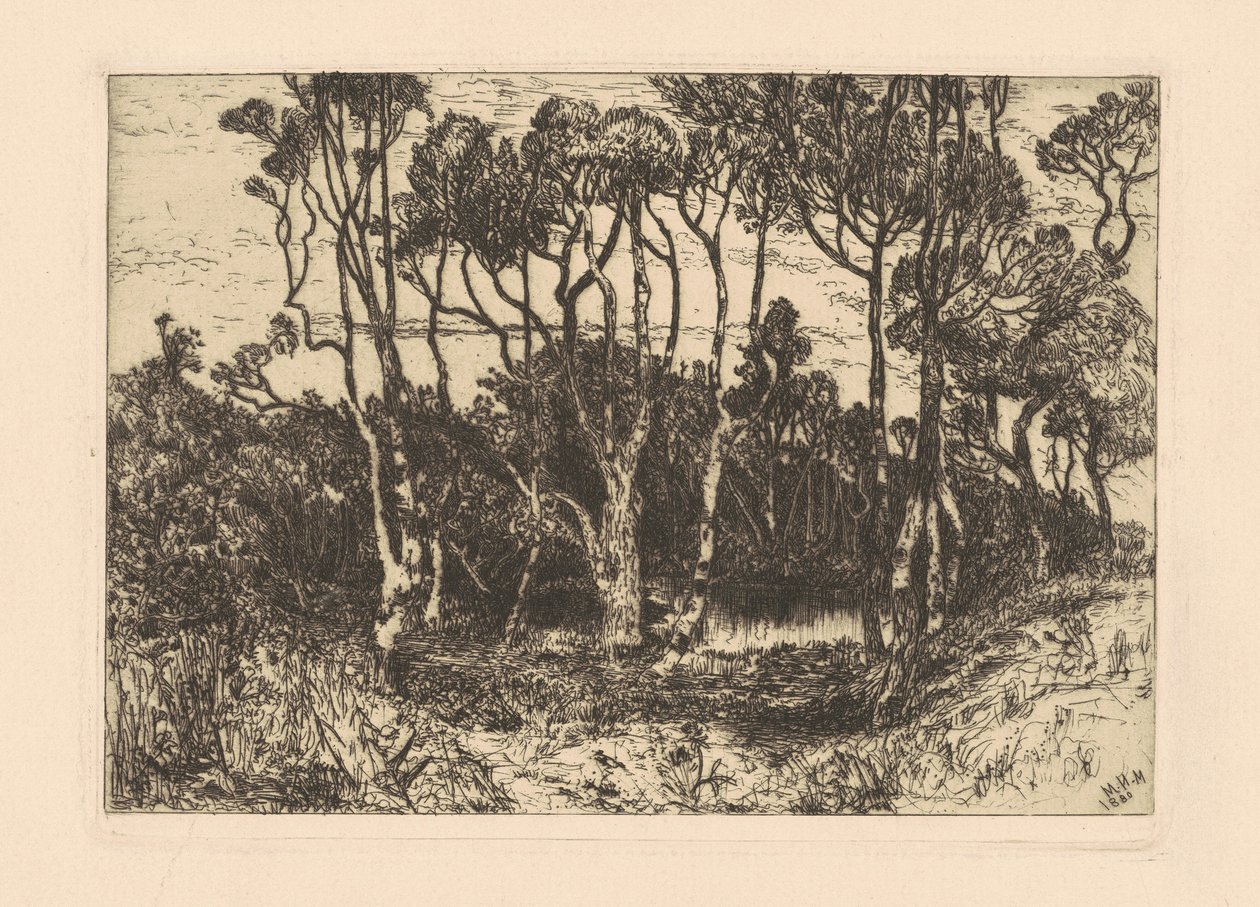 Solidão de Mary Nimmo Moran
