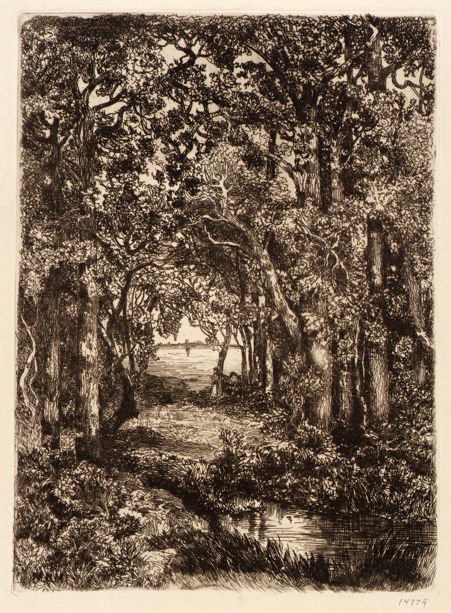 O mar através do bosque de Mary Nimmo Moran