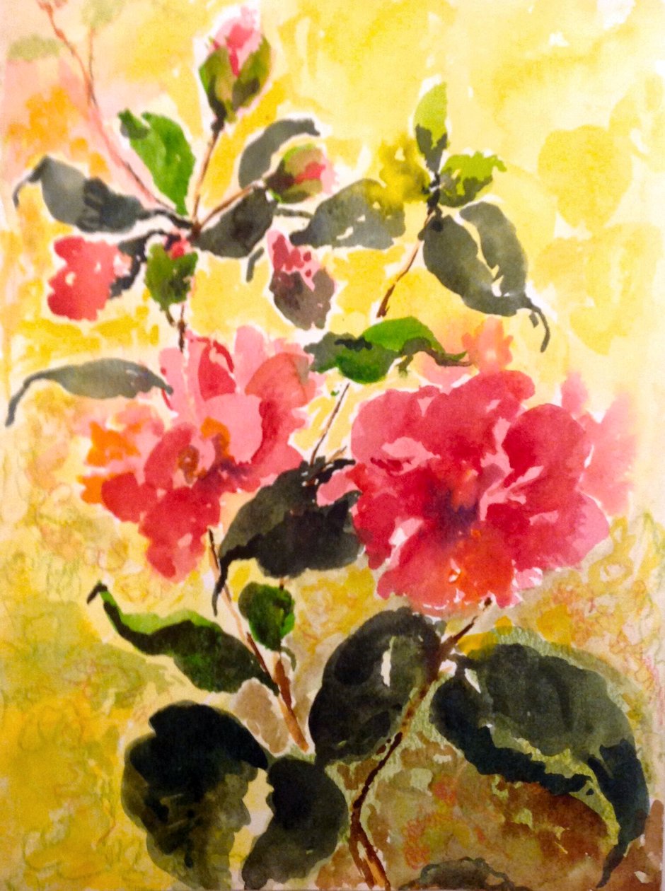 Camélias de Mary Smith