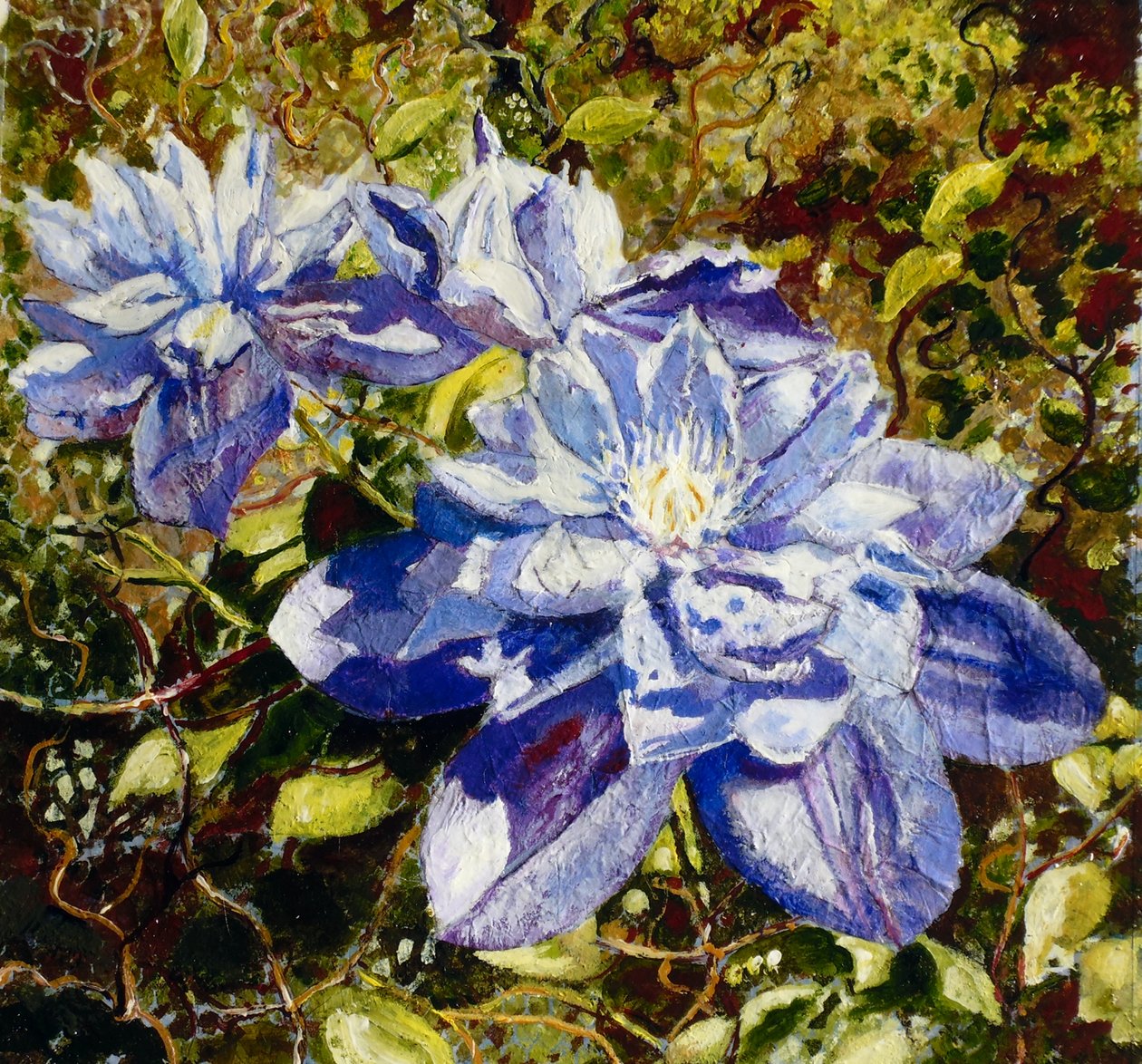 Clematis de Mary Smith