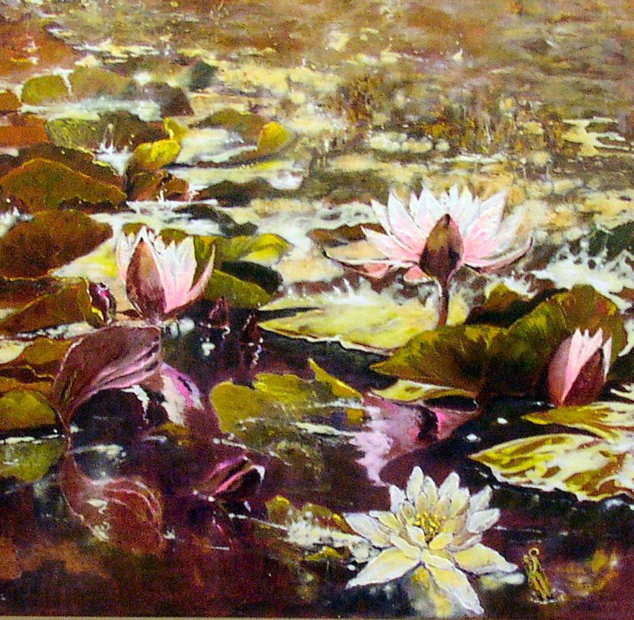 Lírios em jardins de Melbourne de Mary Smith