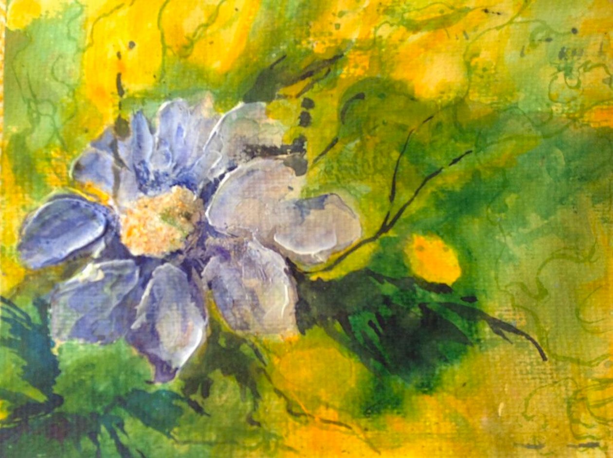 clematis no sol da tarde de Mary Smith