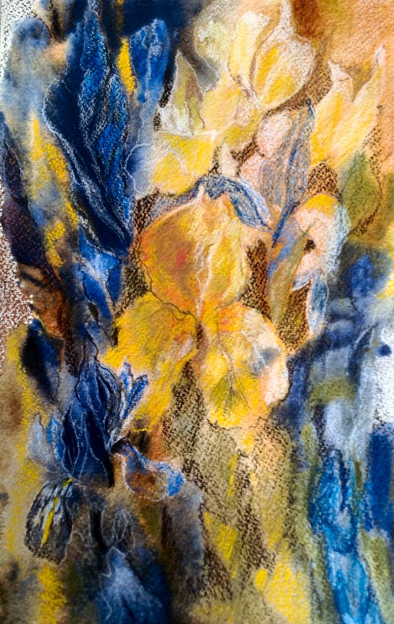 íris de ouro e azul de Mary Smith