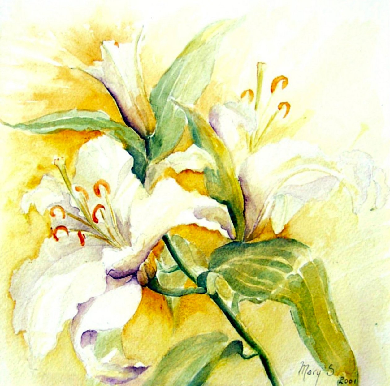 lírios brancos de Mary Smith