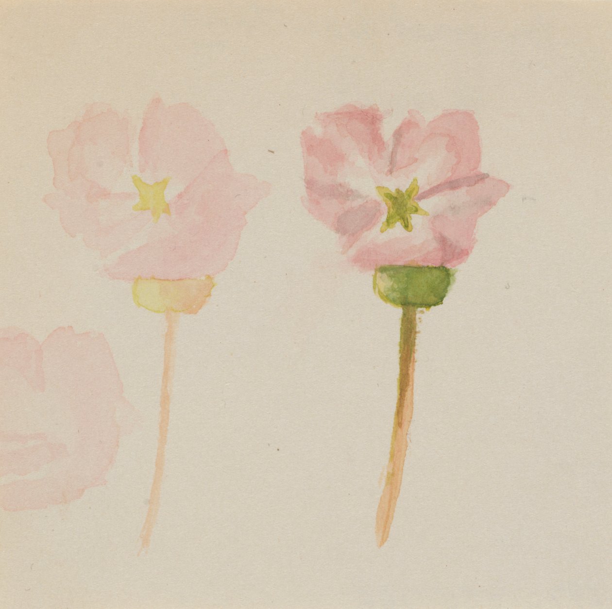 "A minha primeira pintura" de Mary Vaux Walcott