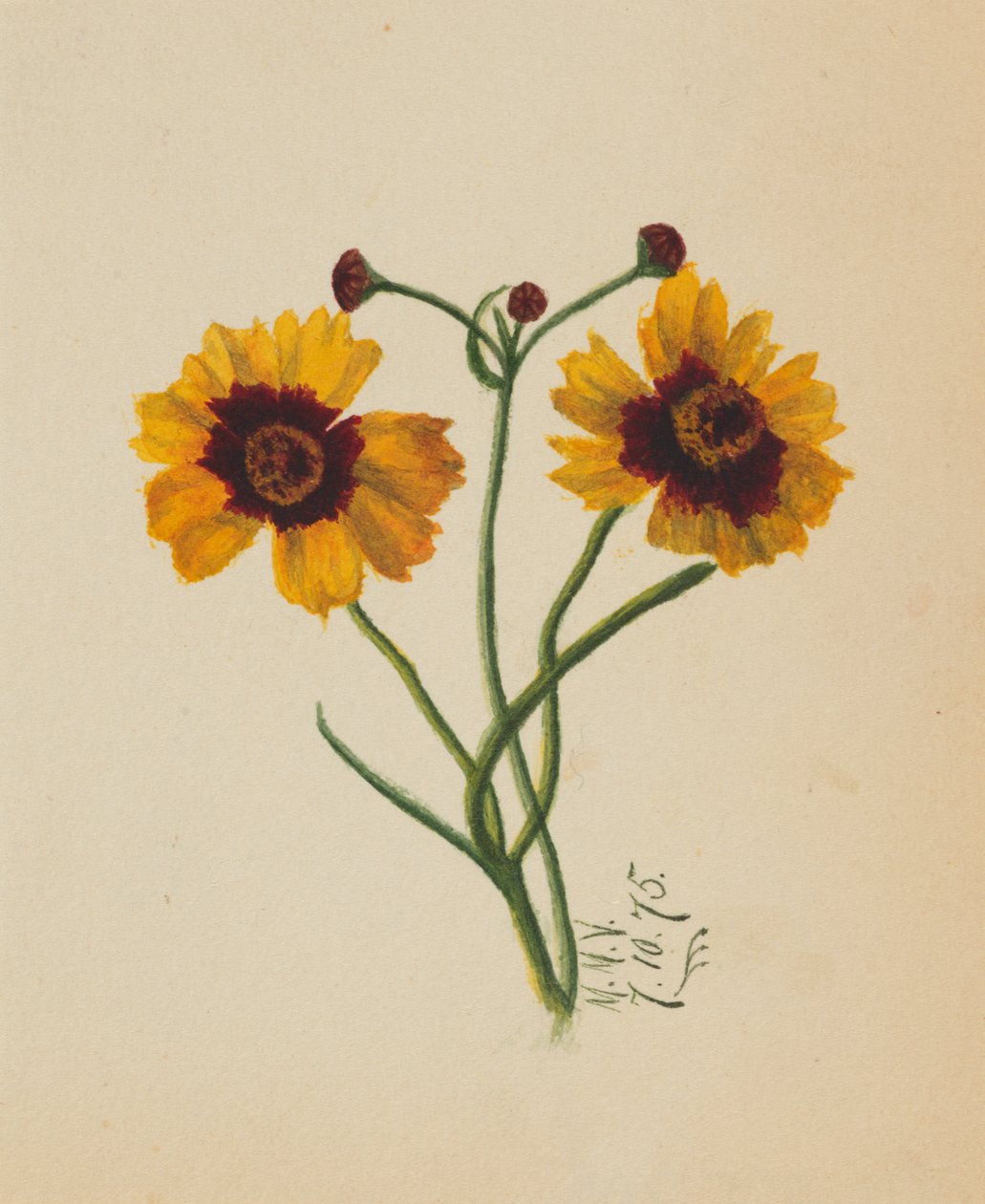 Sem título, 1875. de Mary Vaux Walcott