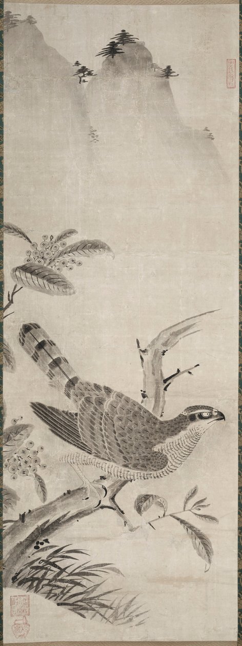 Falcão, meados de 1500. de Masayoshi Fujiwara