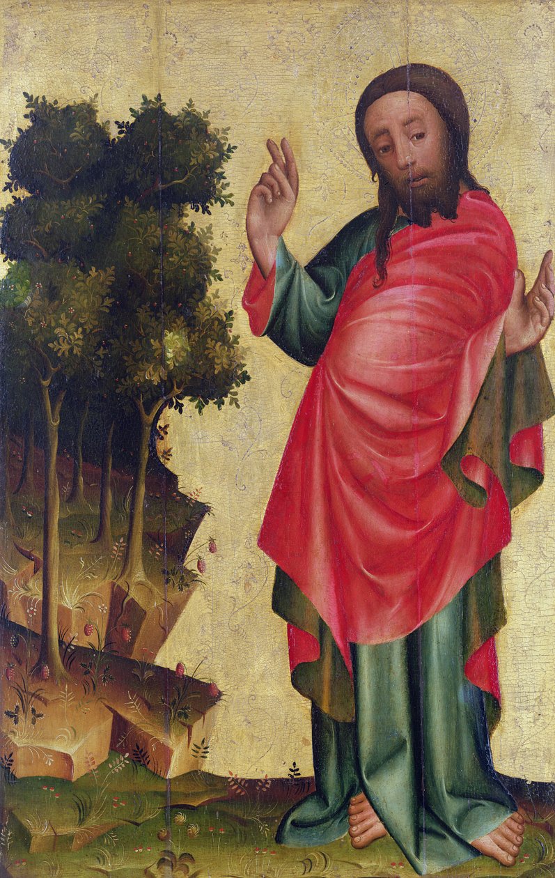 A criação da terra seca e vegetação, detalhe do retábulo de Grabow, 1379-83 (tempera no painel) de Master Bertram of Minden