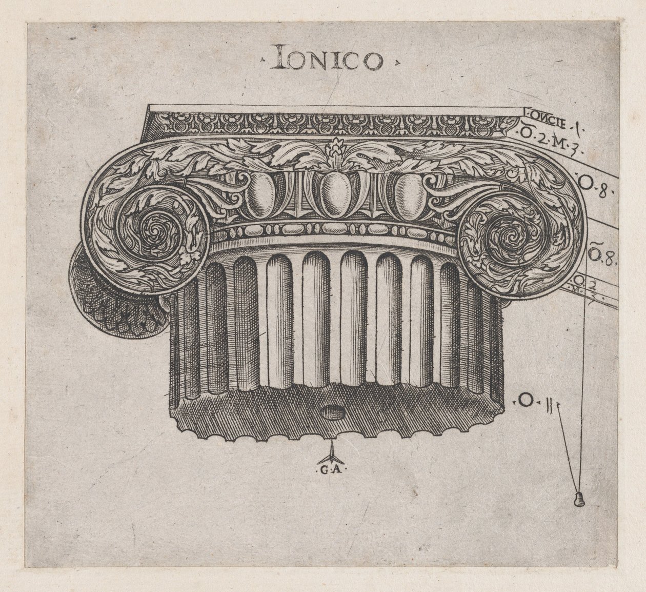 Speculum Romanae Magnificentiae: Capital iónica, ca. 1537. de Master GA