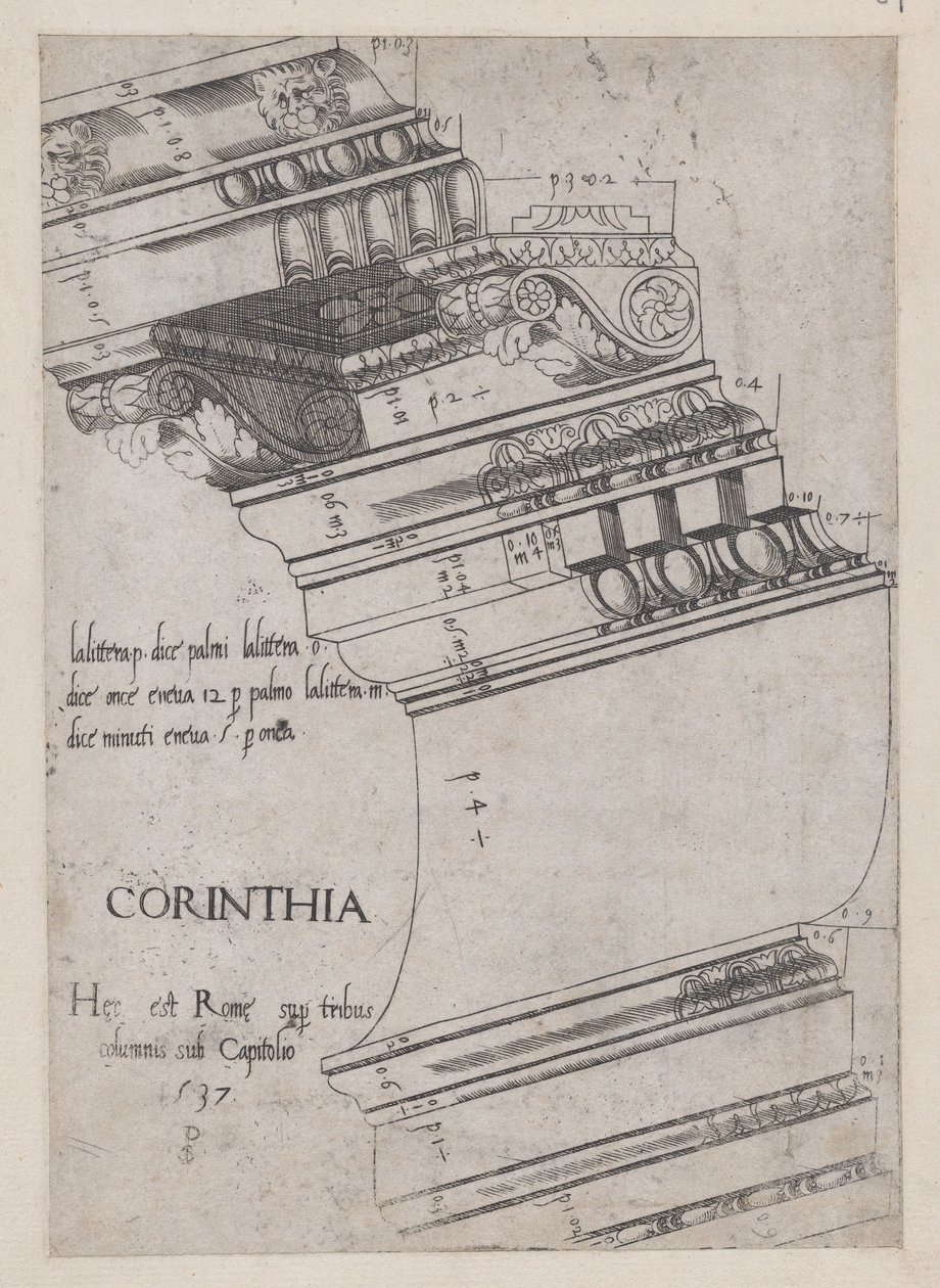 Speculum Romanae Magnificentiae: Entablature from the Temple of Vespasian, Roma, 1537., 1537. de Master PS