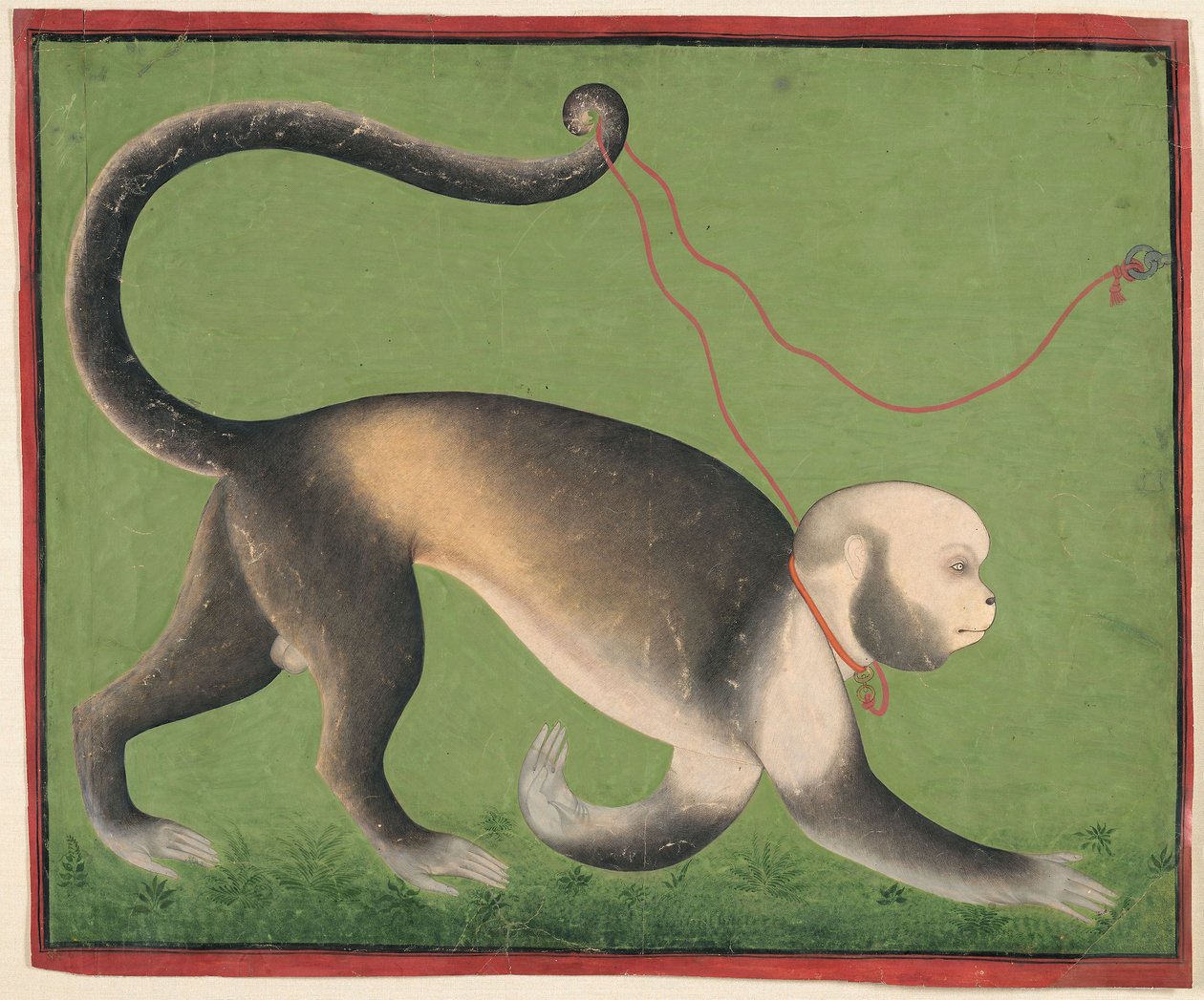 Retrato monumental de um macaco, c.1705-10 (aguarela opaca e ouro sobre papel) de Master Stipple