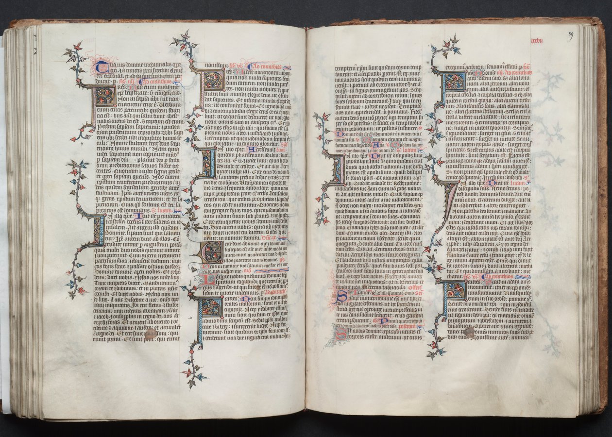 O Missal Gotha: Fol. 88v, Texto, c. 1375. de Master of the Boqueteaux