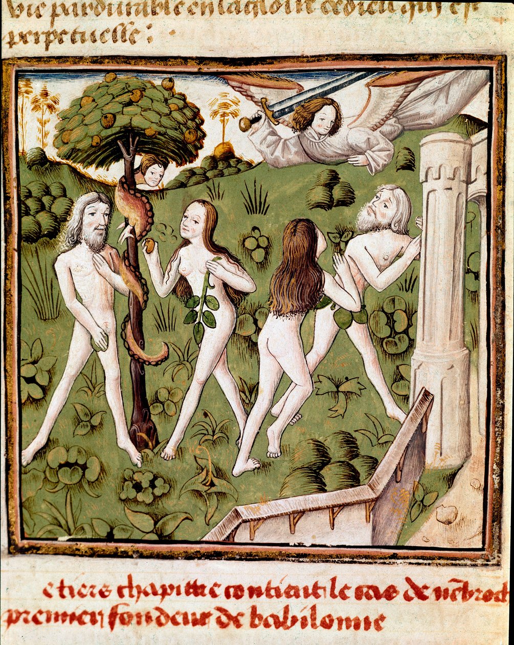 Adão e Eva colhendo a fruta defendida Miniatura do Mestre do Campeão das Senhoras (século XV) do manuscrito "Des hommes illustres" de Giovanni Boccaccio (Jean Boccaccio) (1313-1375). Século XV. Carpentras. Biblioteca Inguimbertine de Master of the Champion des Dames