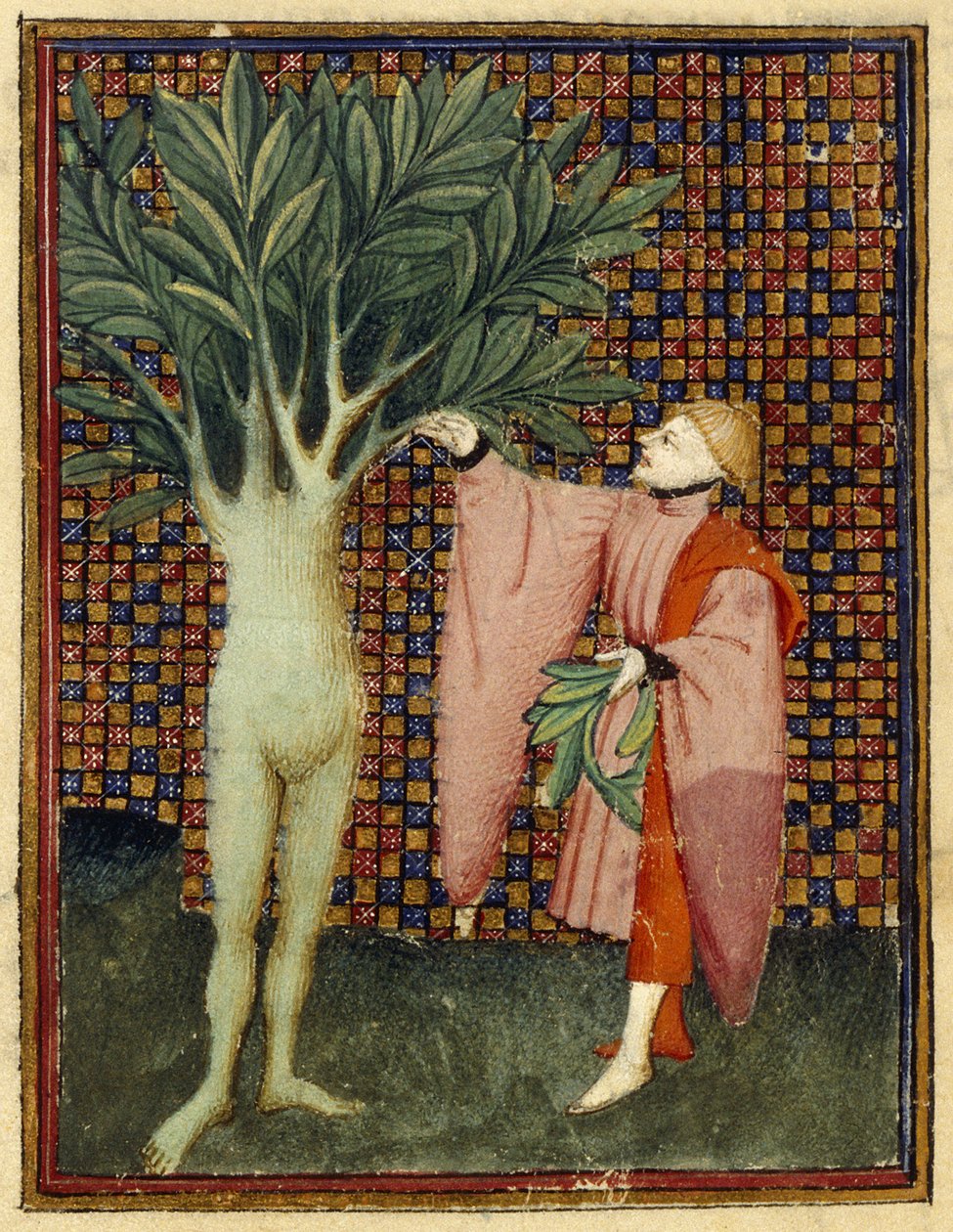 Apollo e Daphne de Master of the Cité des Dames