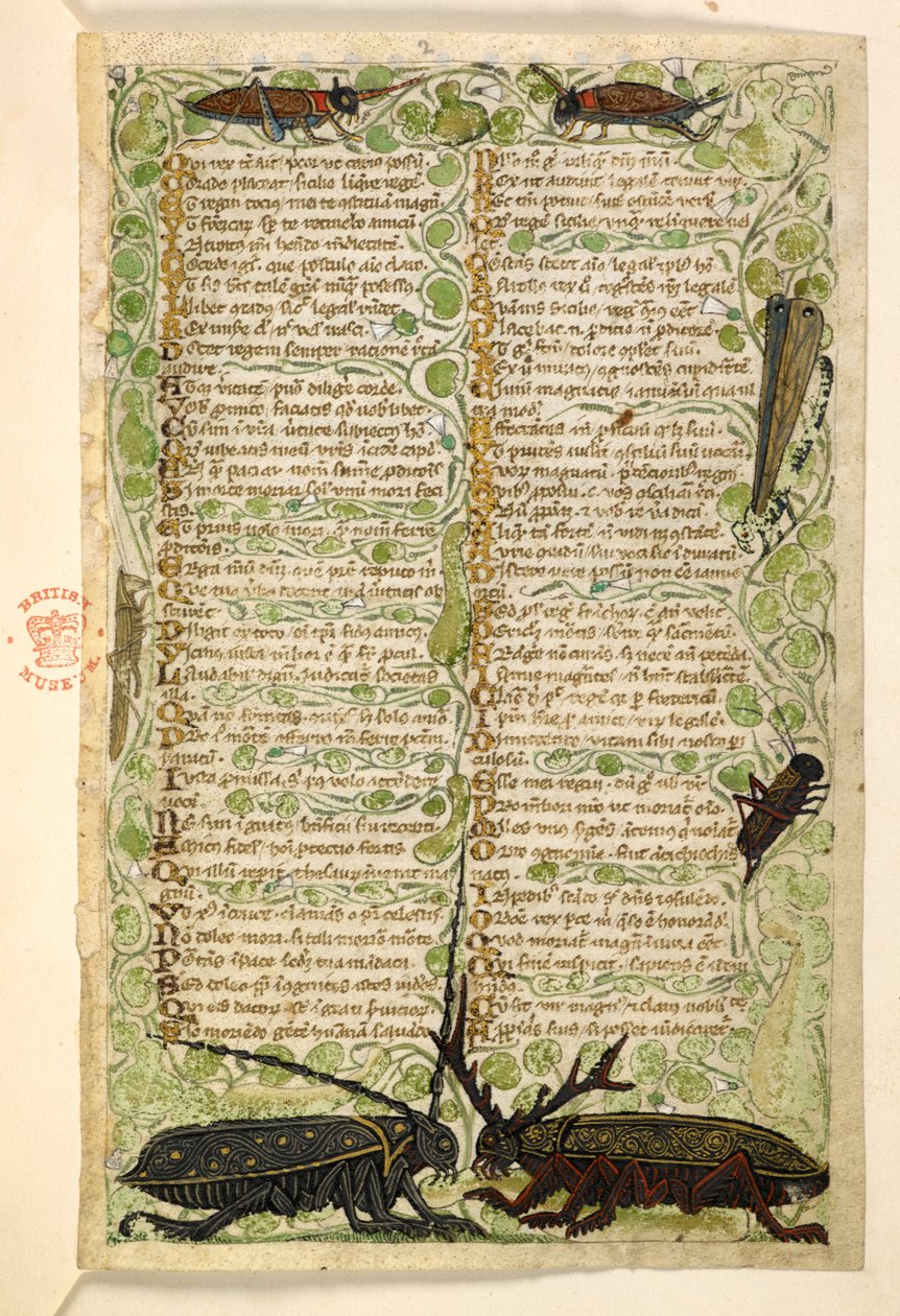 Acrescentar. 28841, f.2: Besouros cornudos, grilos e um locus. Tratado sobre as virtudes e vícios, e uma história anónima em prosa da Sicília (fragmento) Cocharelli de Master of the Cocharelli Codex