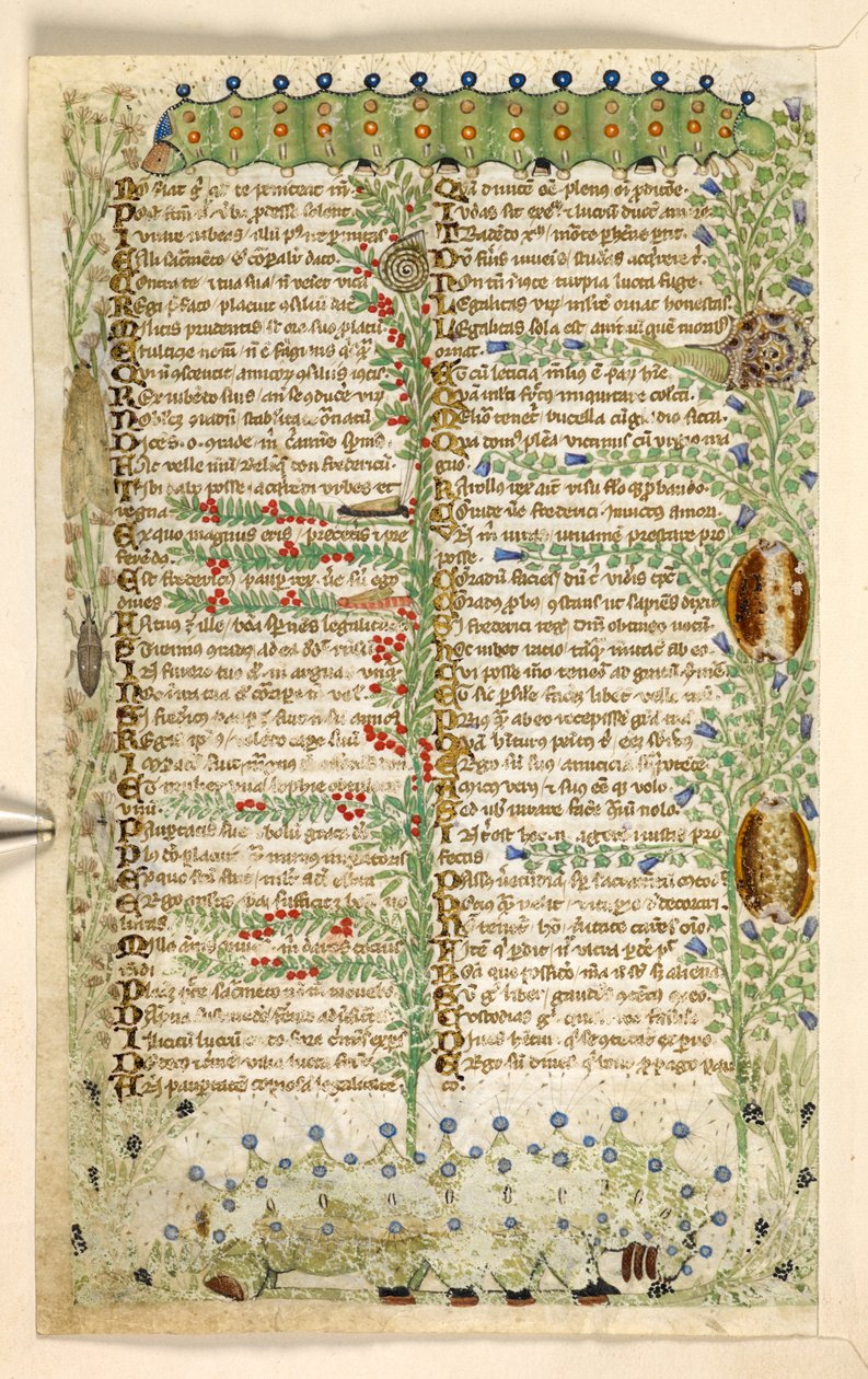 Acrescentar. 28841, f.2v: Lagartas, caracóis e outros insectos, de um tratado sobre as virtudes e vícios, e uma história anónima em prosa da Sicília (fragmento), c.1330-40 (vellum) de Master of the Cocharelli Codex