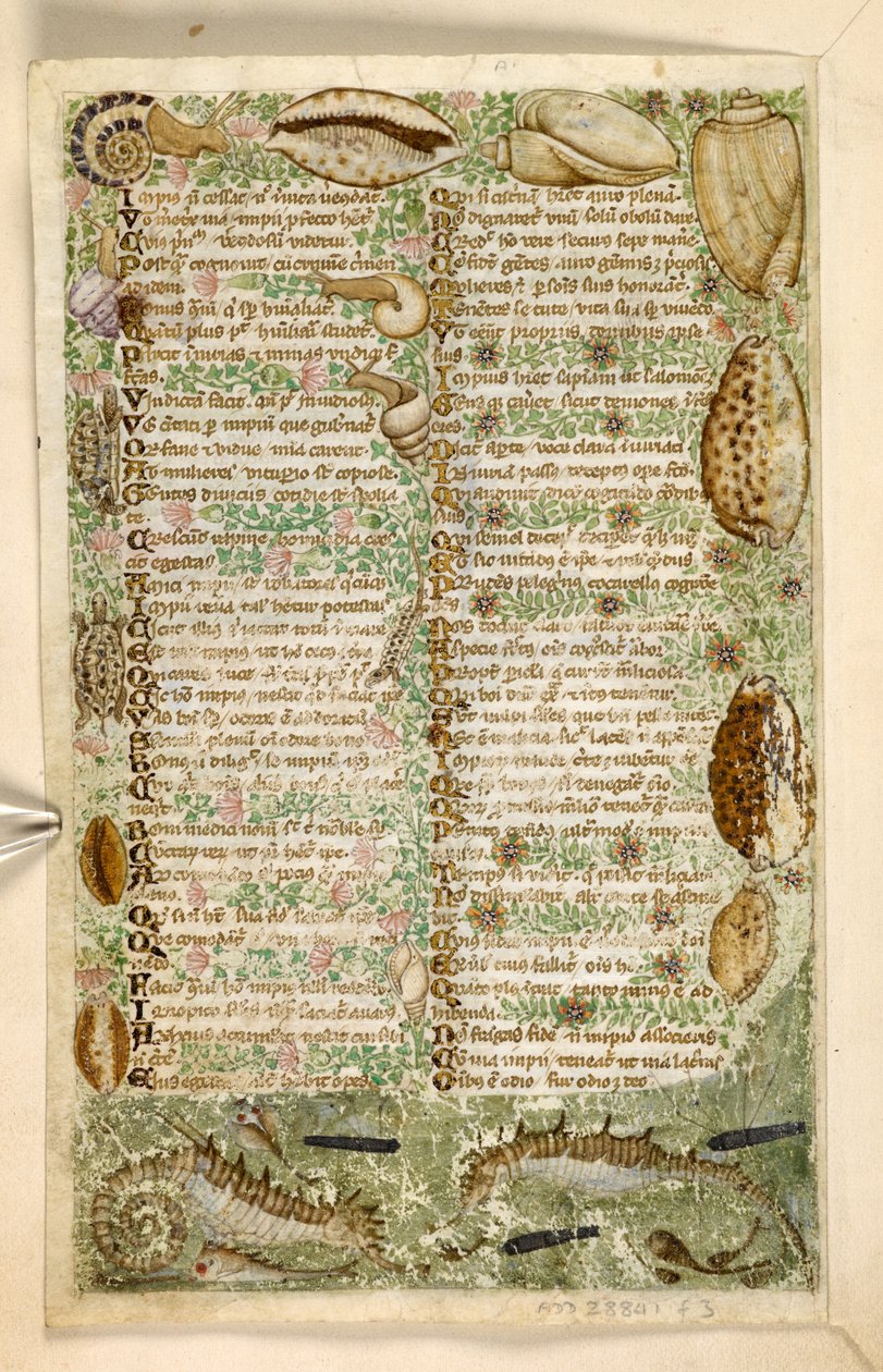 Adicionar. 28841, f.3v: Cavalos-marinhos, caracóis e conchas, de um Tratado sobre as virtudes e vícios, e uma história em prosa anônima da Sicília (fragmento), c.1330-40 (velino) de Master of the Cocharelli Codex