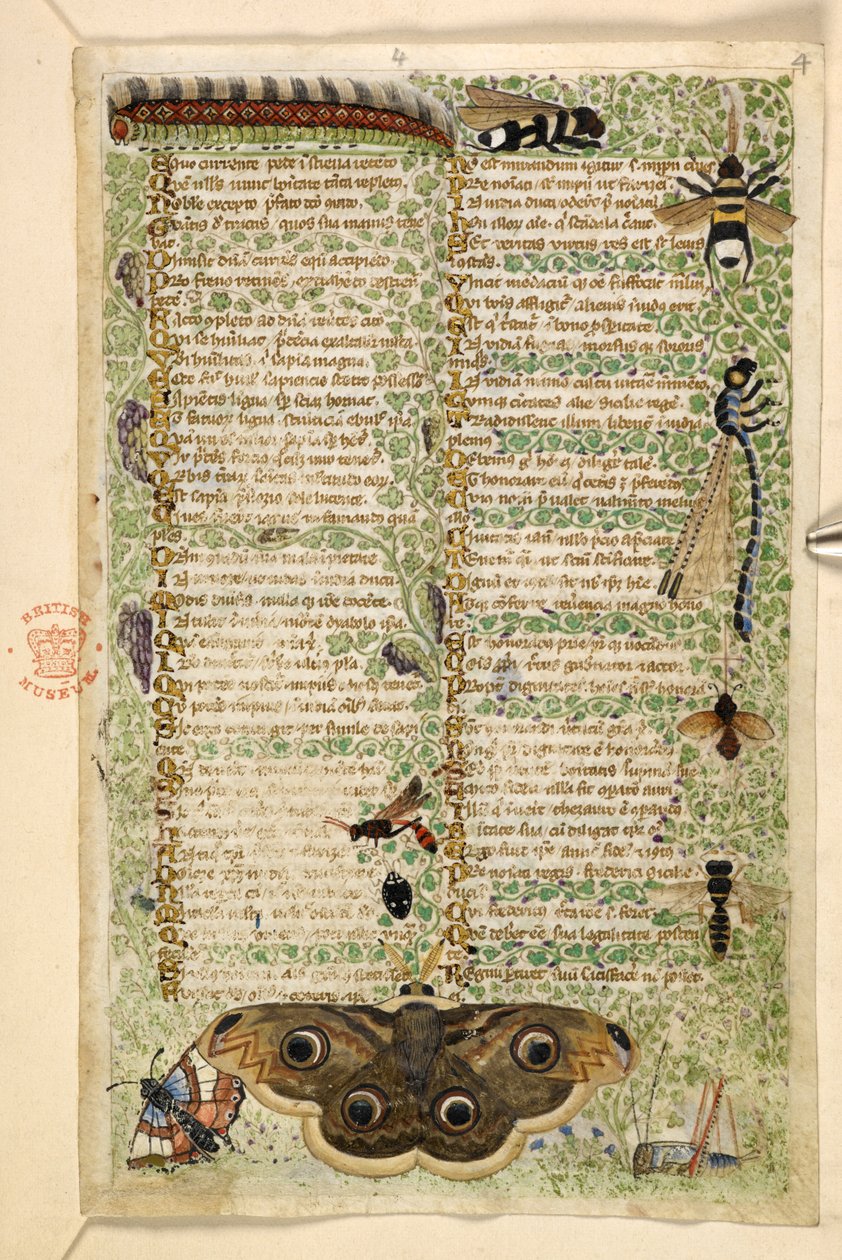 Acrescentar. 28841, f.4: Vespas, traças, libélulas e uma lagarta, de um tratado sobre as virtudes e vícios, e uma história anónima em prosa da Sicília (fragmento), c.1330-40 (vellum) de Master of the Cocharelli Codex