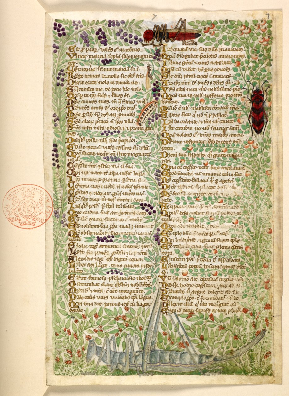 Adicionar. 28841, f.7, Flores, frutos e insetos, incluindo um gafanhoto e um gafanhoto, de um Tratado sobre as virtudes e vícios, e uma história em prosa anônima da Sicília (fragmento) de Master of the Cocharelli Codex