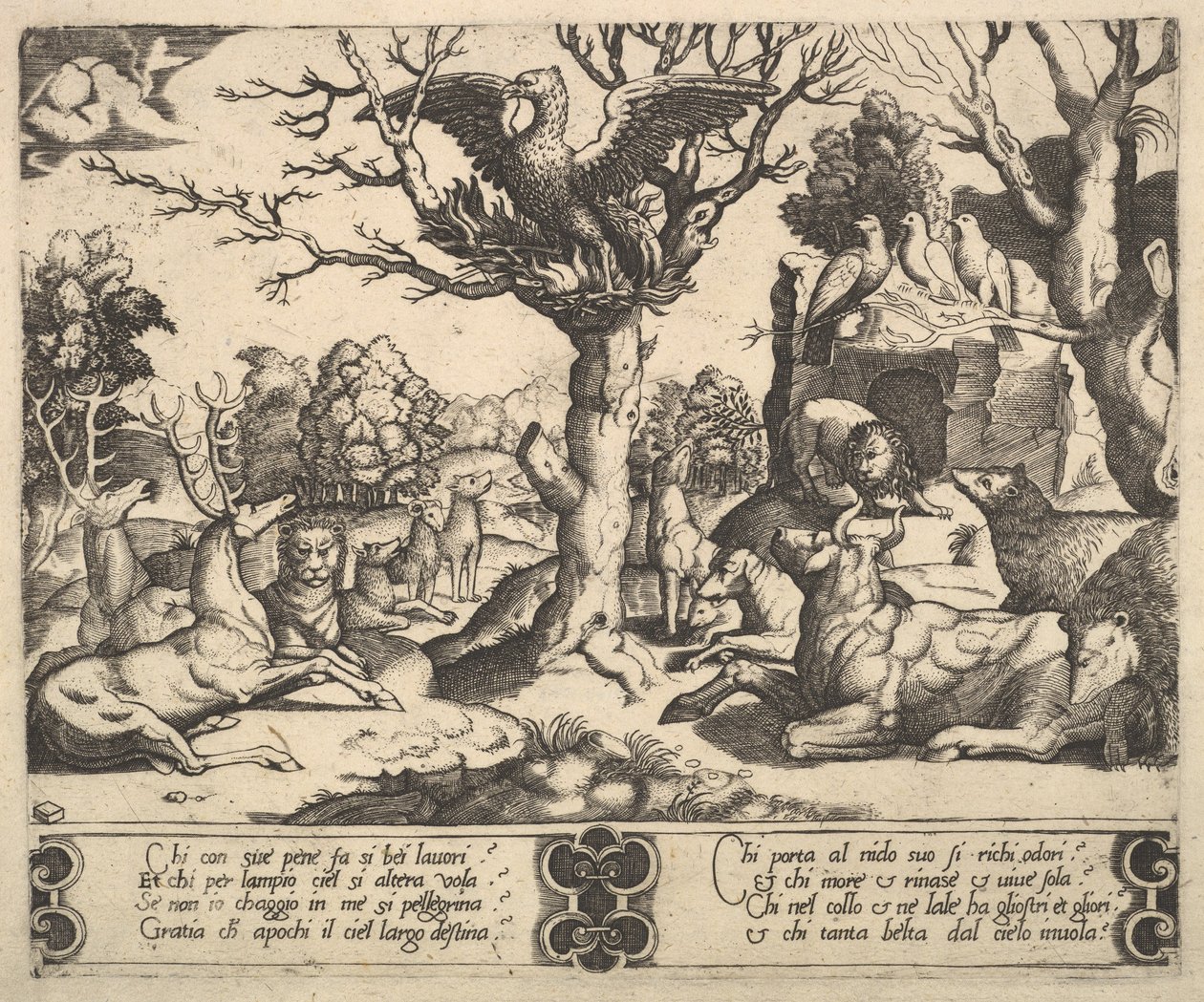 Uma fênix sentada em cima de uma árvore, asas abertas, um sortimento de animais abaixo, 1530-60. de Master of the Die