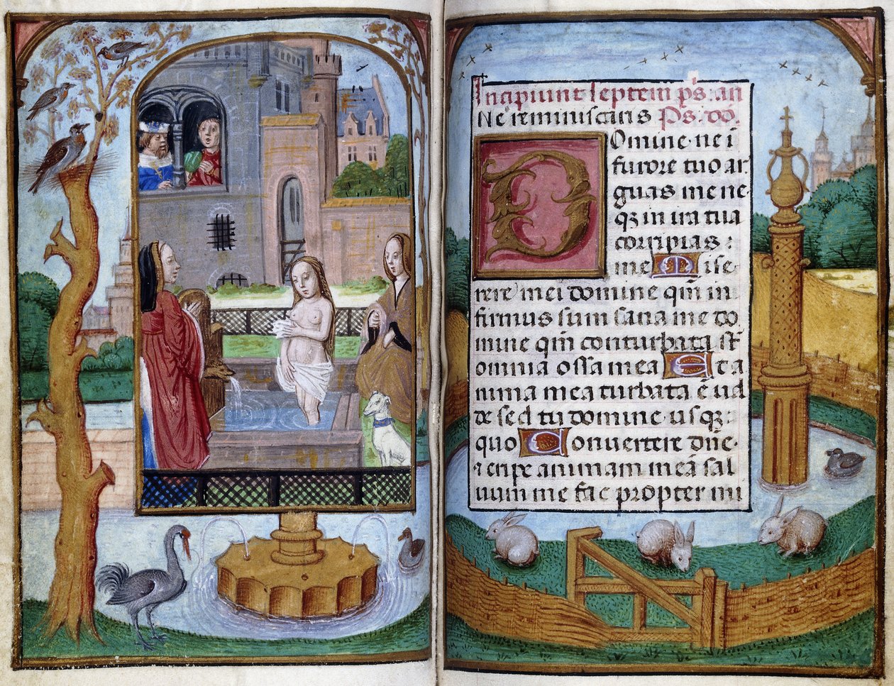 Bathsheba, c.1490 de Master of the Dresden Prayer Book