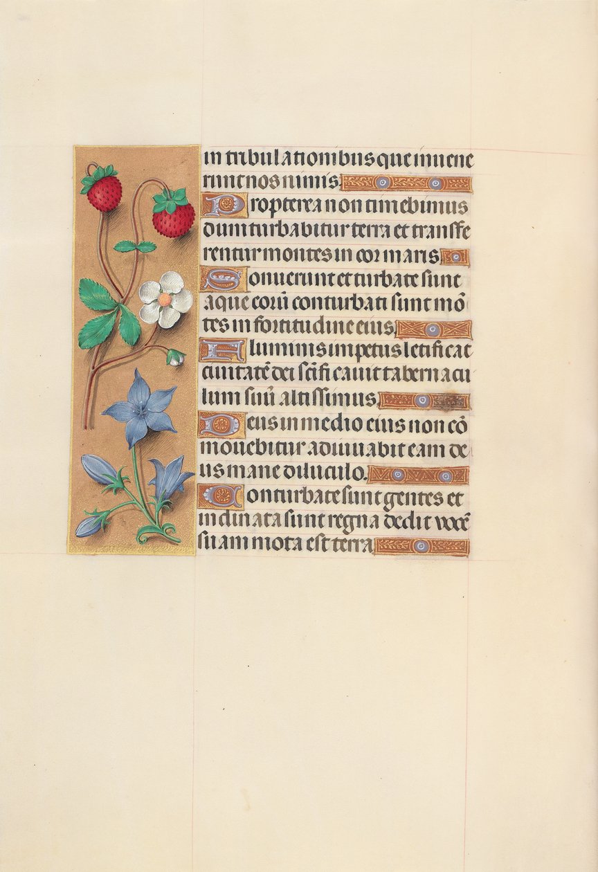 Horas da rainha Isabel, a católica, rainha da Espanha: Fol. 105v, c. 1500. de Master of the First Prayerbook of Maximillian
