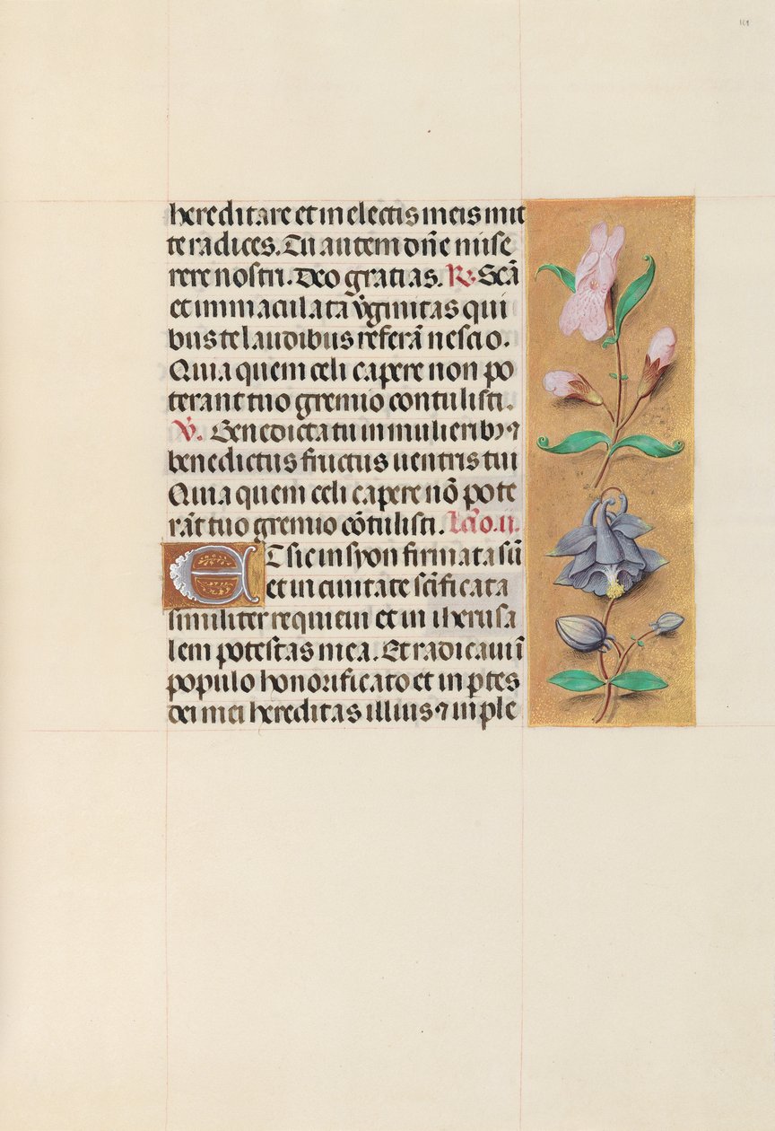 Horas da rainha Isabel, a católica, rainha da Espanha: Fol. 111r, c. 1500. de Master of the First Prayerbook of Maximillian