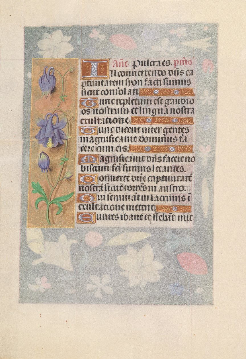 Horas da rainha Isabel, a católica, rainha da Espanha: Fol. 142v, c. 1500. de Master of the First Prayerbook of Maximillian